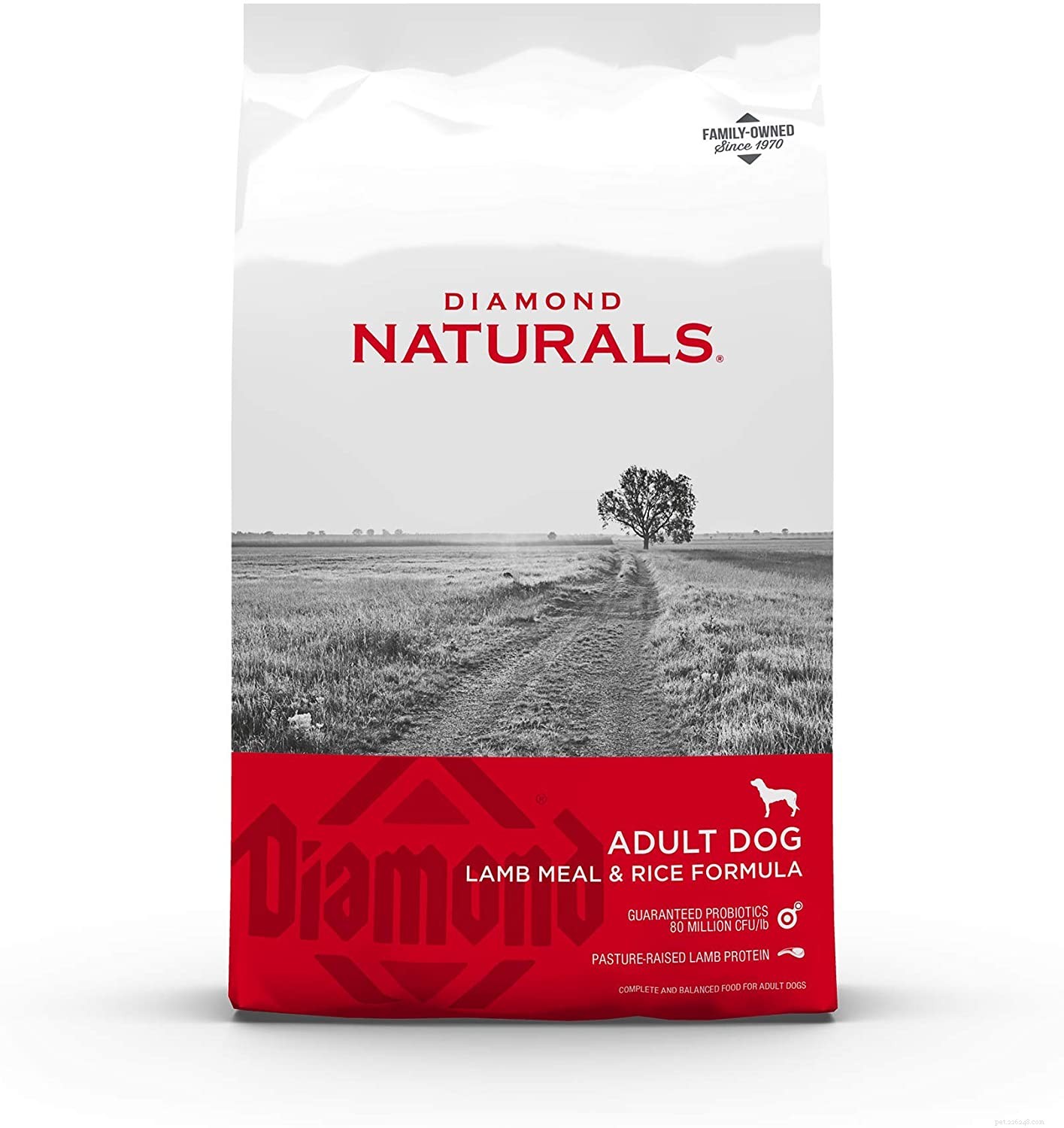 Top Protein Picks for Dogs: How to Choose the Best Foods for Health