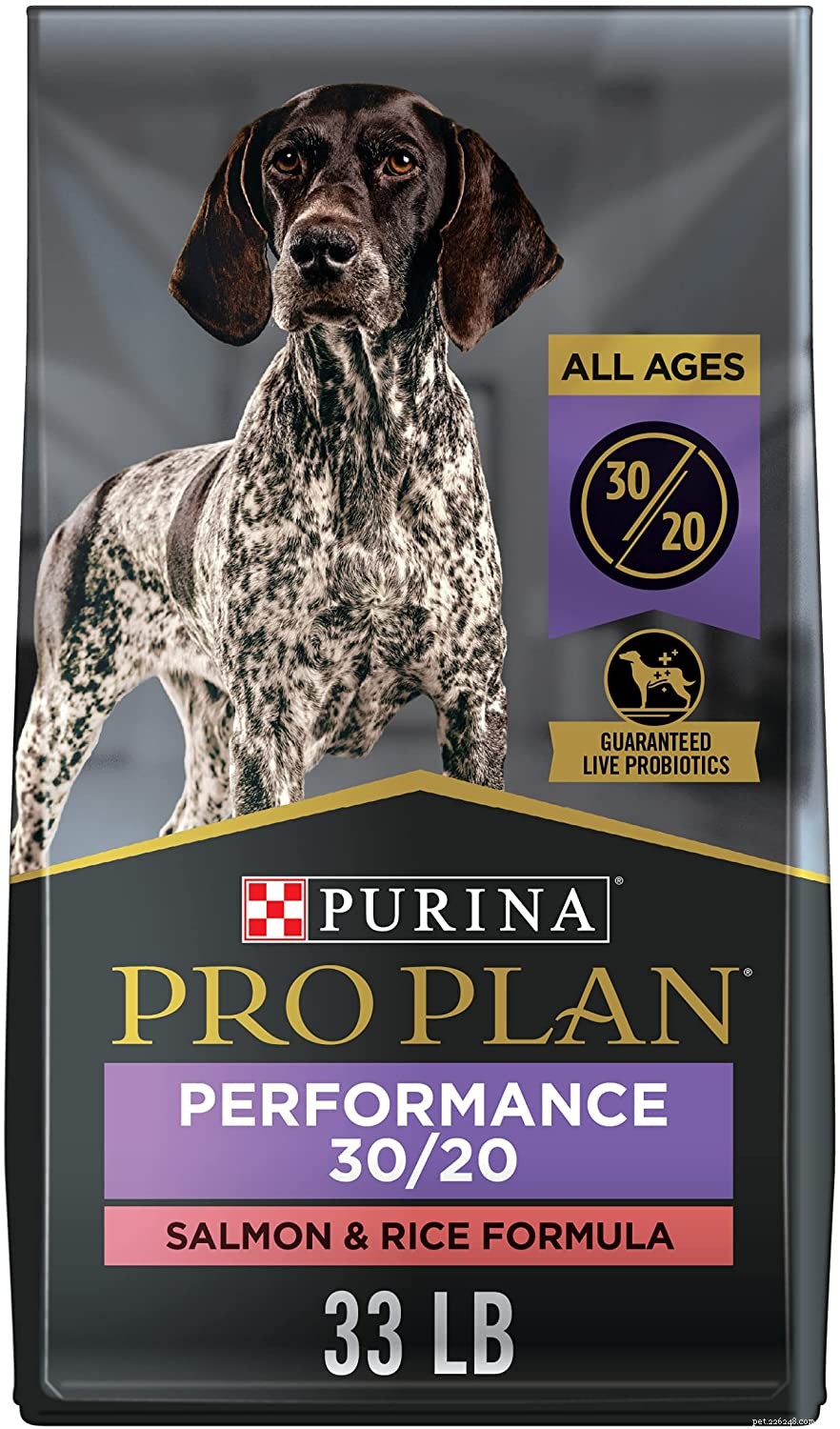 Top Protein Picks for Dogs: How to Choose the Best Foods for Health