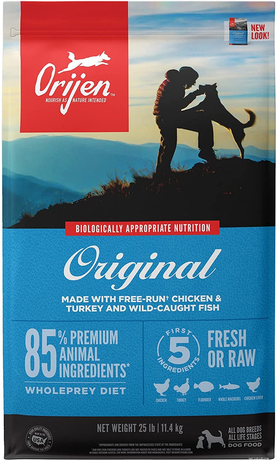 Top Protein Picks for Dogs: How to Choose the Best Foods for Health