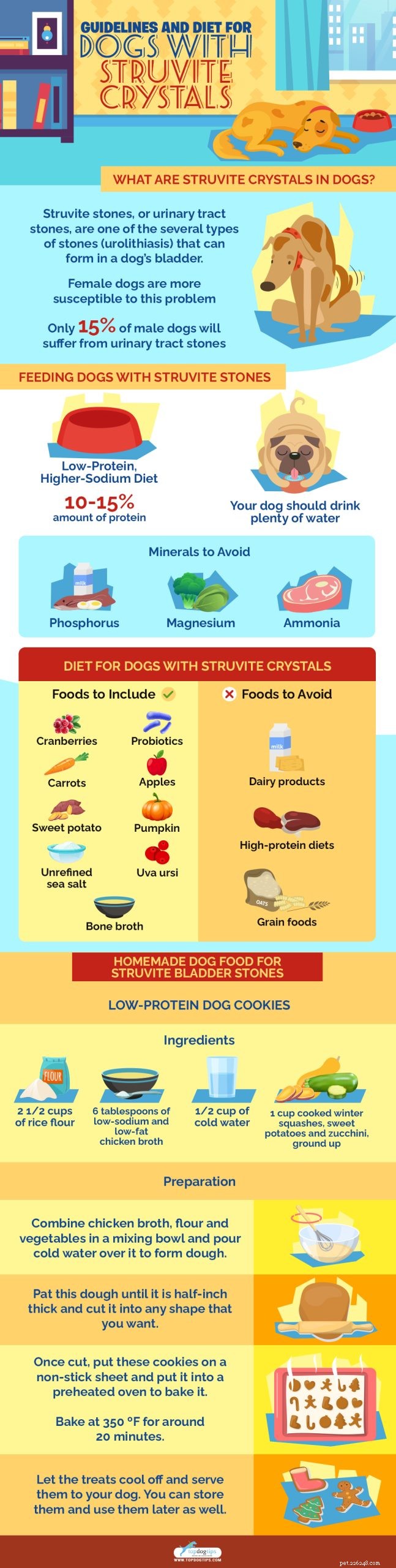 Struvite Crystals in Dogs: Proven Diet Strategies & Best Foods