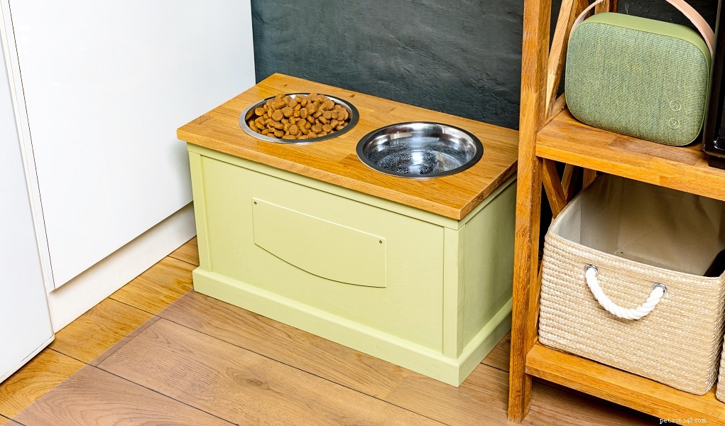 Smart Dog Food Storage: 3 Proven DIY Methods to Preserve Nutrition