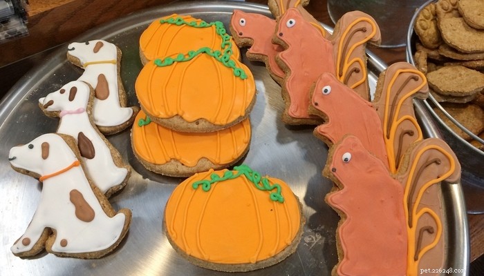 Top 10 Thanksgiving Dog Treats: Healthy, Delicious & Pet‑Safe