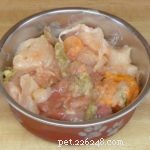 Balanced Raw Dog Food Recipe for All Ages & Breeds