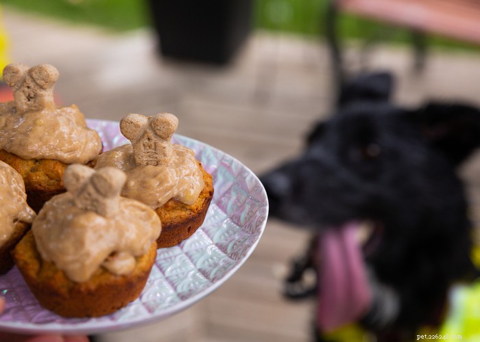 Delicious & Nutritious Homemade Puppy Treats: Easy Recipes for a Healthy Pup