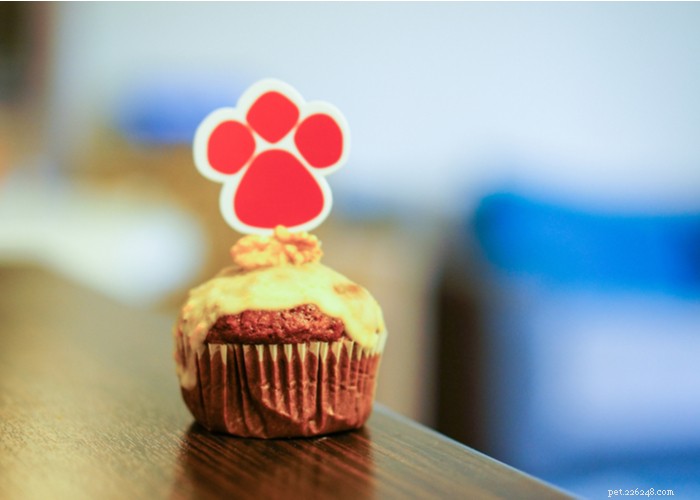 Delicious & Nutritious Homemade Puppy Treats: Easy Recipes for a Healthy Pup