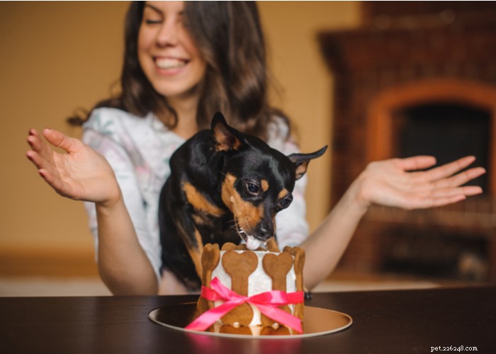 Delicious & Nutritious Homemade Puppy Treats: Easy Recipes for a Healthy Pup