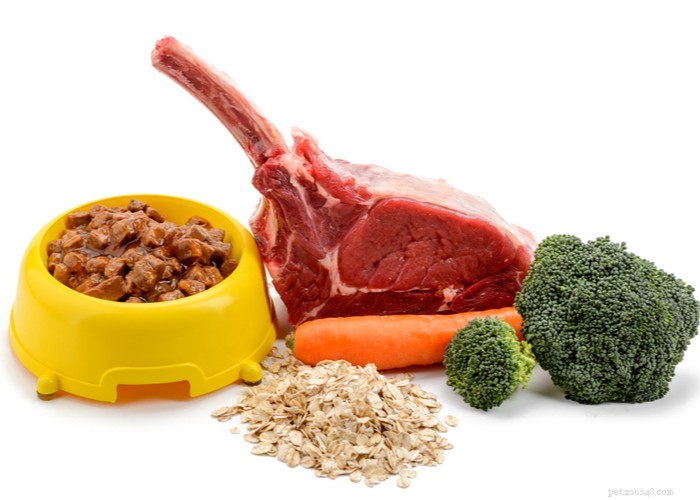 Vet‑Approved Homemade Puppy Food Recipes for Optimal Growth
