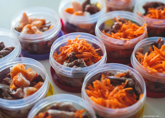 Vet‑Approved Homemade Puppy Food Recipes for Optimal Growth