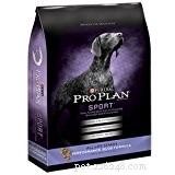 Premium Dog Food for Dobermans: Expert Nutrition Guide for Doberman Pinschers