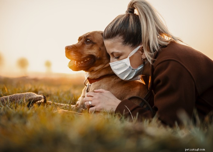 Mycotoxins in Dog Food: Risks, Recognition, and Prevention for Your Pet