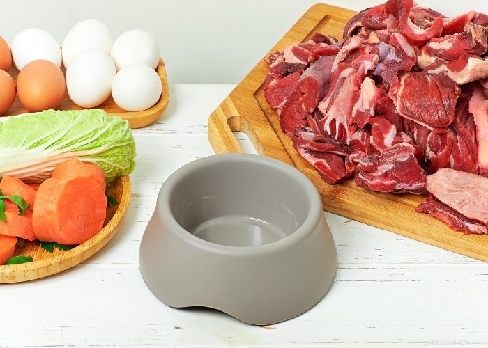 Create Your Own Low-Carb Dog Food for Optimal Health