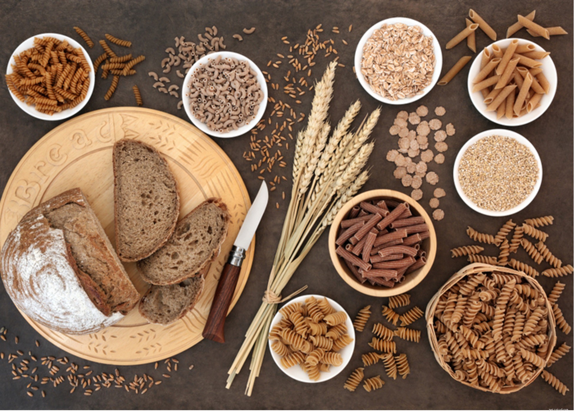 Safe Grains for Dogs: What to Feed Your Pet