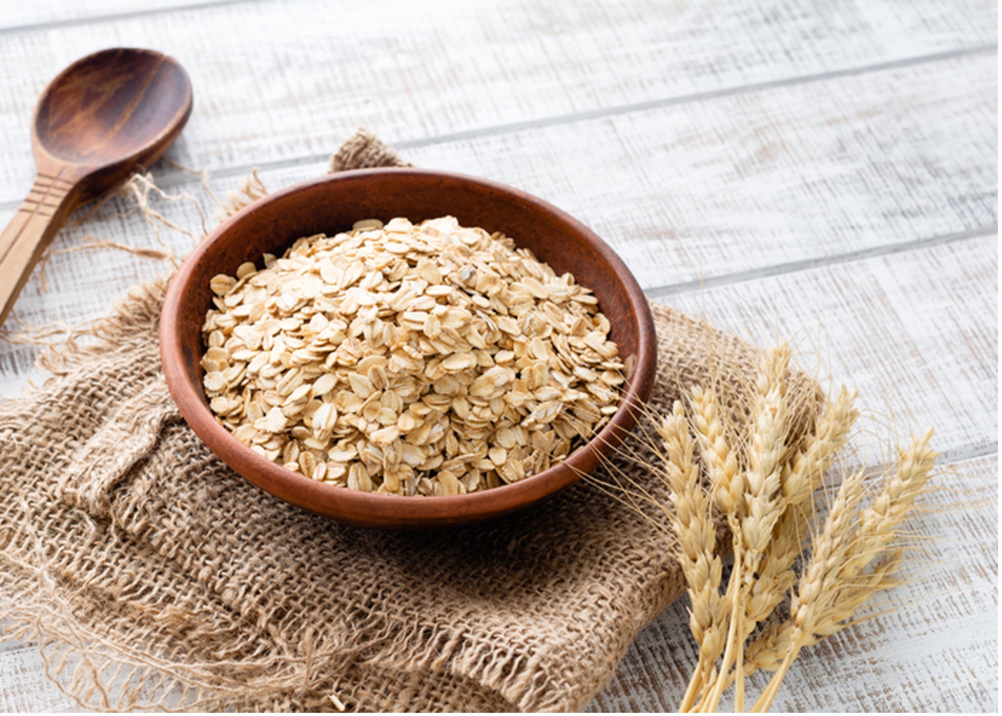 Safe Grains for Dogs: What to Feed Your Pet