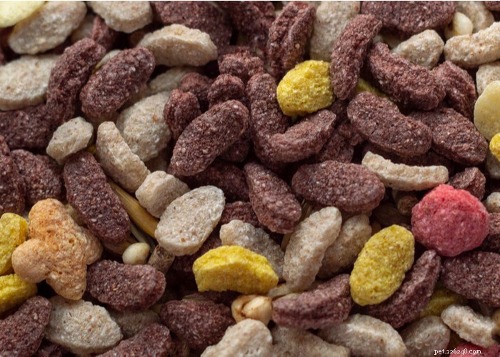 Premium Freeze‑Dried Homemade Dog Food: Fresh, Nutritious, and Convenient