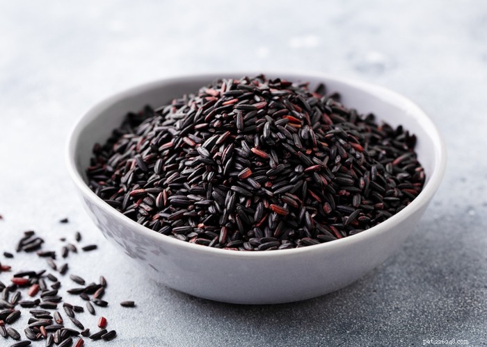 Choosing the Right Rice for Your Dog: Health Benefits & Top Picks