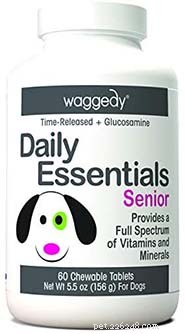 Top 10 Dog Multivitamins & Supplements for Complete Health