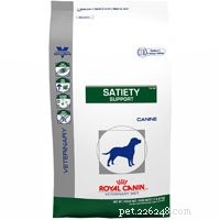 Veterinarian Guide: Safe Diet Plans for Overweight Dogs