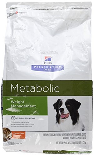 Veterinarian Guide: Safe Diet Plans for Overweight Dogs