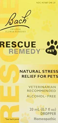 Top 12 OTC & Calming Supplements to Ease Dog Anxiety