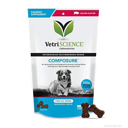 Top 12 OTC & Calming Supplements to Ease Dog Anxiety