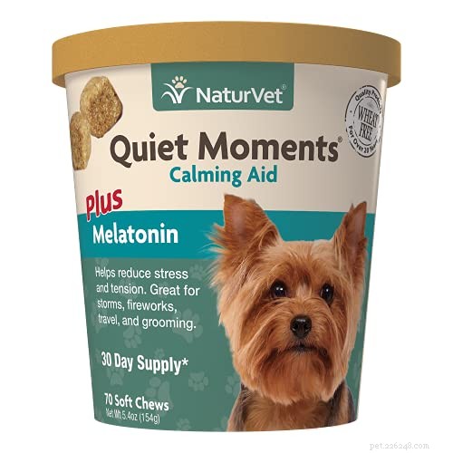 Top 12 OTC & Calming Supplements to Ease Dog Anxiety