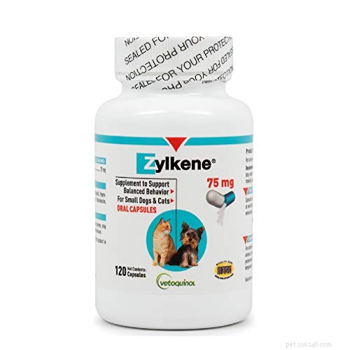 Top 12 OTC & Calming Supplements to Ease Dog Anxiety