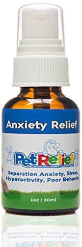 Top 12 OTC & Calming Supplements to Ease Dog Anxiety