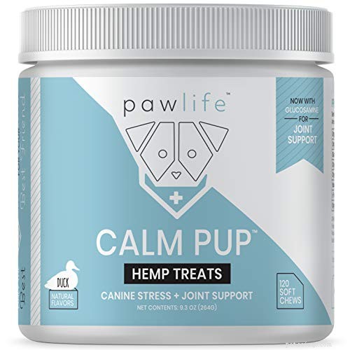 Top 12 OTC & Calming Supplements to Ease Dog Anxiety