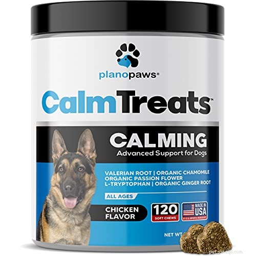 Top 12 OTC & Calming Supplements to Ease Dog Anxiety