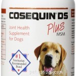 56 Must-Have Dog Supplements for Health, Energy, and Longevity