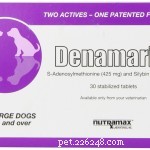 56 Must-Have Dog Supplements for Health, Energy, and Longevity