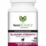 56 Must-Have Dog Supplements for Health, Energy, and Longevity