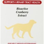 56 Must-Have Dog Supplements for Health, Energy, and Longevity