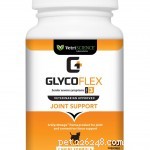 56 Must-Have Dog Supplements for Health, Energy, and Longevity