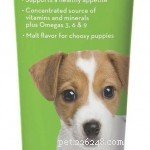 56 Must-Have Dog Supplements for Health, Energy, and Longevity