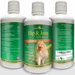 56 Must-Have Dog Supplements for Health, Energy, and Longevity