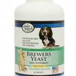56 Must-Have Dog Supplements for Health, Energy, and Longevity