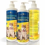 56 Must-Have Dog Supplements for Health, Energy, and Longevity