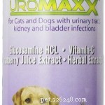 56 Must-Have Dog Supplements for Health, Energy, and Longevity