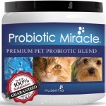 56 Must-Have Dog Supplements for Health, Energy, and Longevity