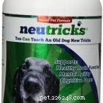 56 Must-Have Dog Supplements for Health, Energy, and Longevity