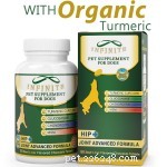 56 Must-Have Dog Supplements for Health, Energy, and Longevity