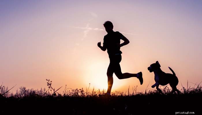 Effective Strategies to Alleviate Your Dog’s Separation Anxiety