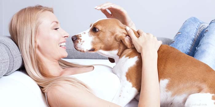 Effective Strategies to Alleviate Your Dog’s Separation Anxiety
