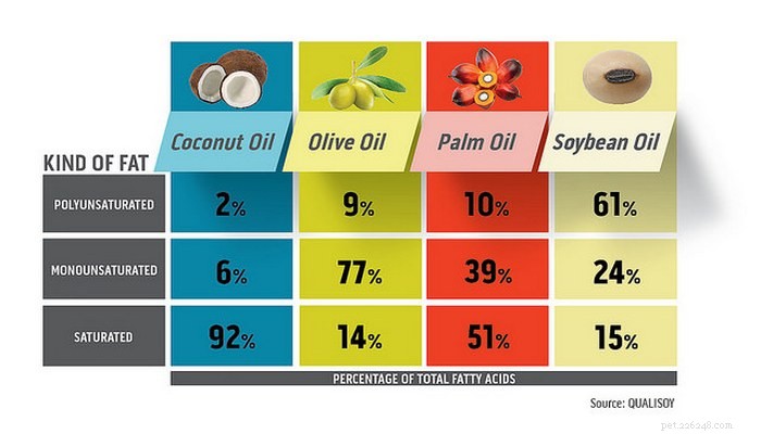Discover How Coconut Oil Boosts Your Dog’s Health