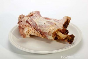Why Cooked Bones Are Harmful to Dogs – A Vet s Warning
