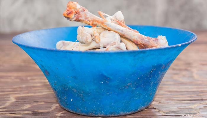 Why Cooked Bones Are Harmful to Dogs – A Vet s Warning