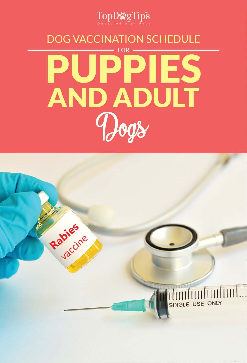 Puppy Vaccination Guide: Essential Shots & Schedule for Healthy Growth