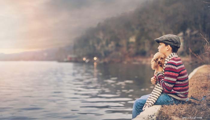10 Proven Ways to Calm Your Dog Quickly & Effectively