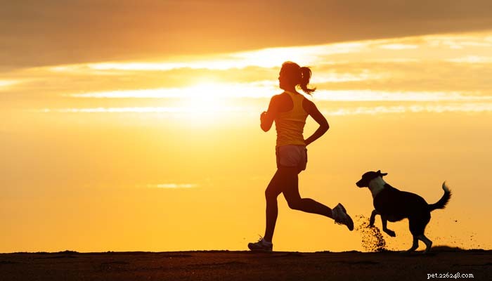 7 Proven Ways to Relieve Stress in Dogs